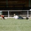 rava 1977 tm 1988